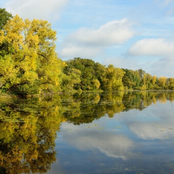 Cook Lake Highlands
