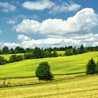 Ritter Meadows