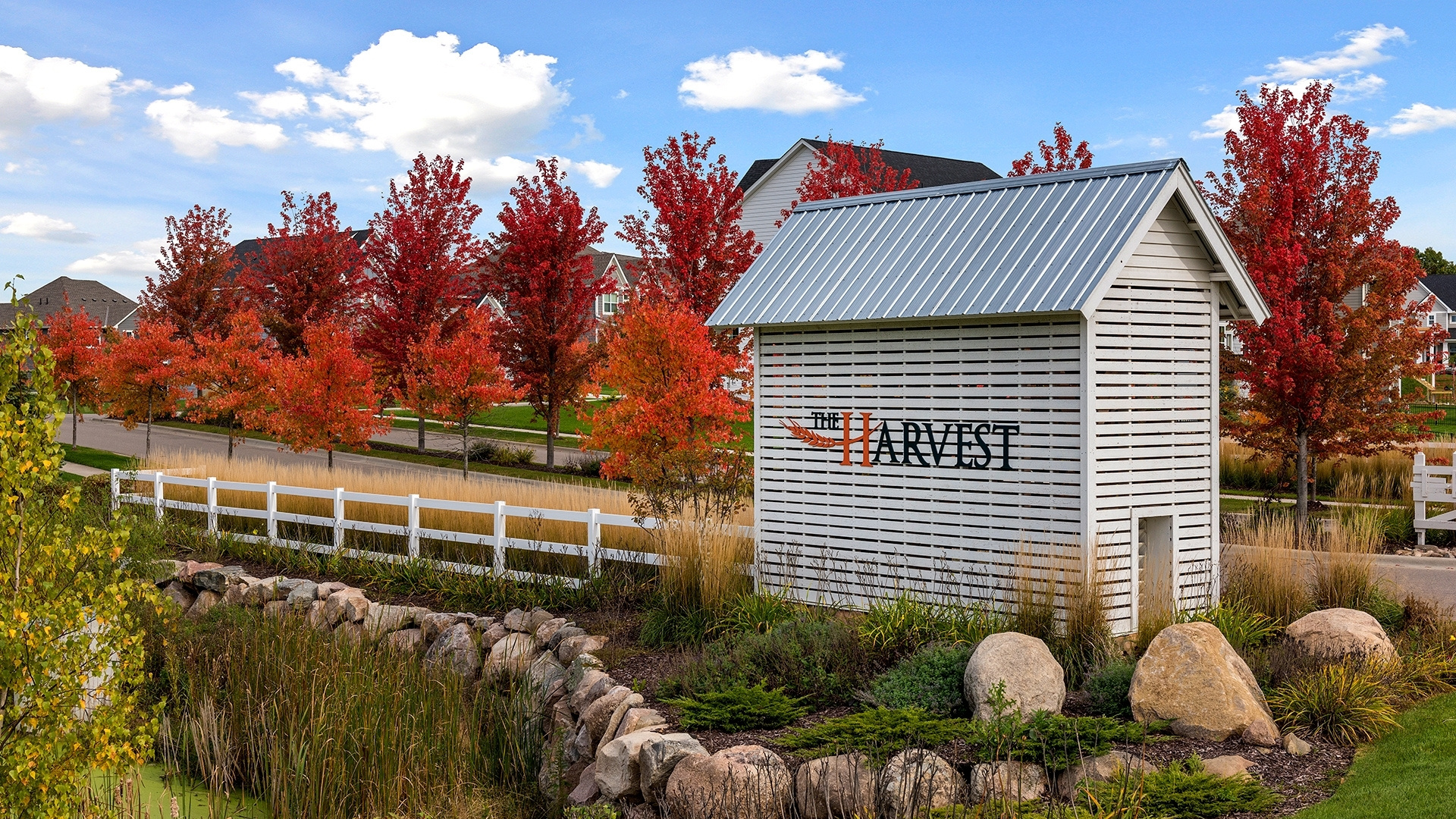 The Harvest