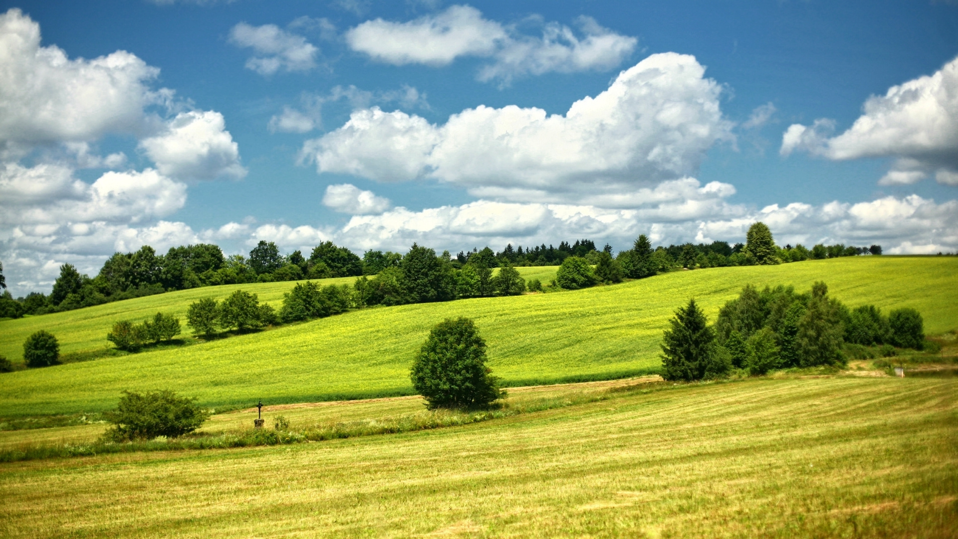 Ritter Meadows