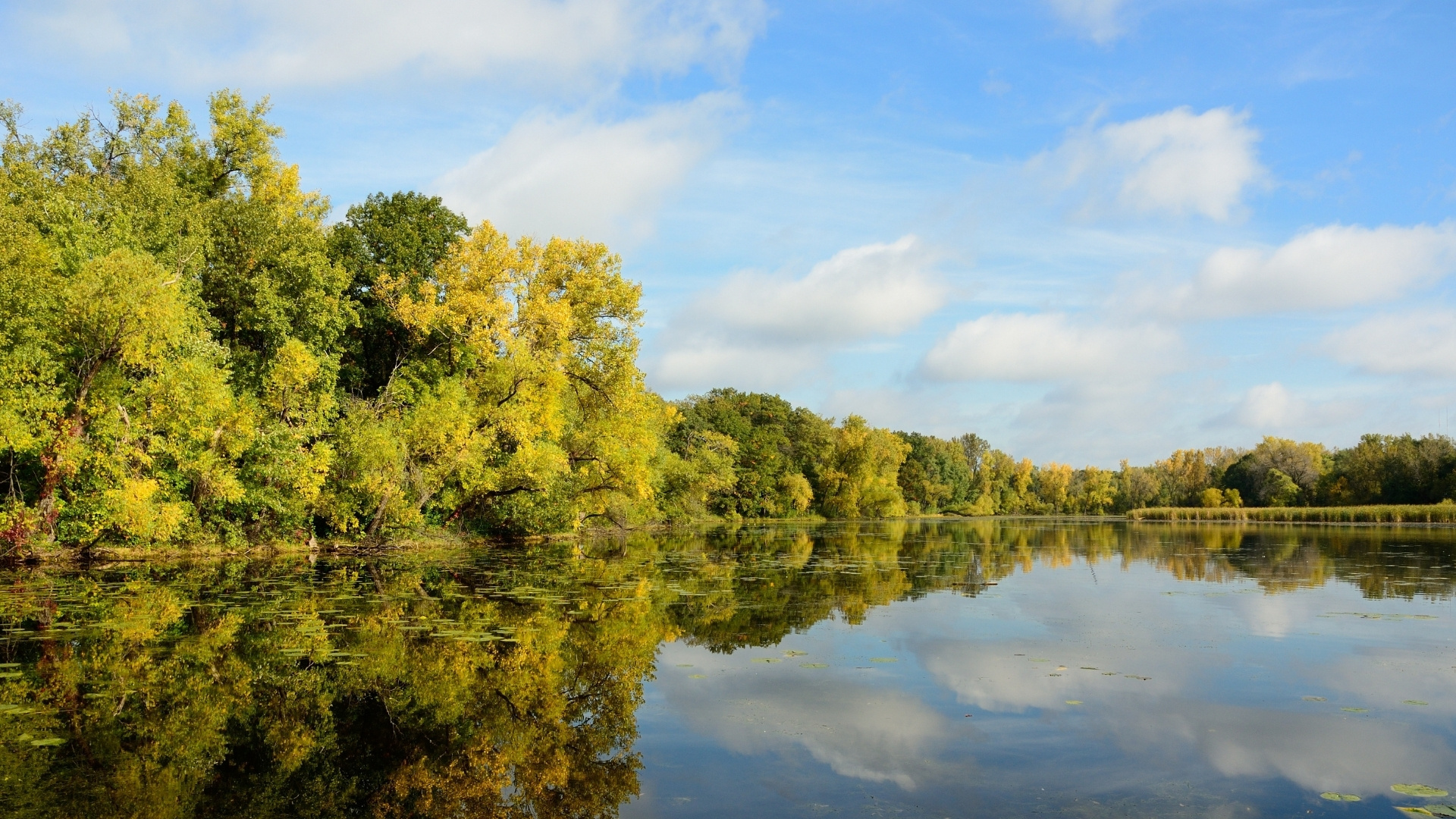 Cook Lake Highlands