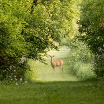 Huntersbrook